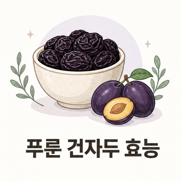 그릇에 담긴 푸룬과 생자두를 함께 보여주는 푸룬 건자두 효능 이미지