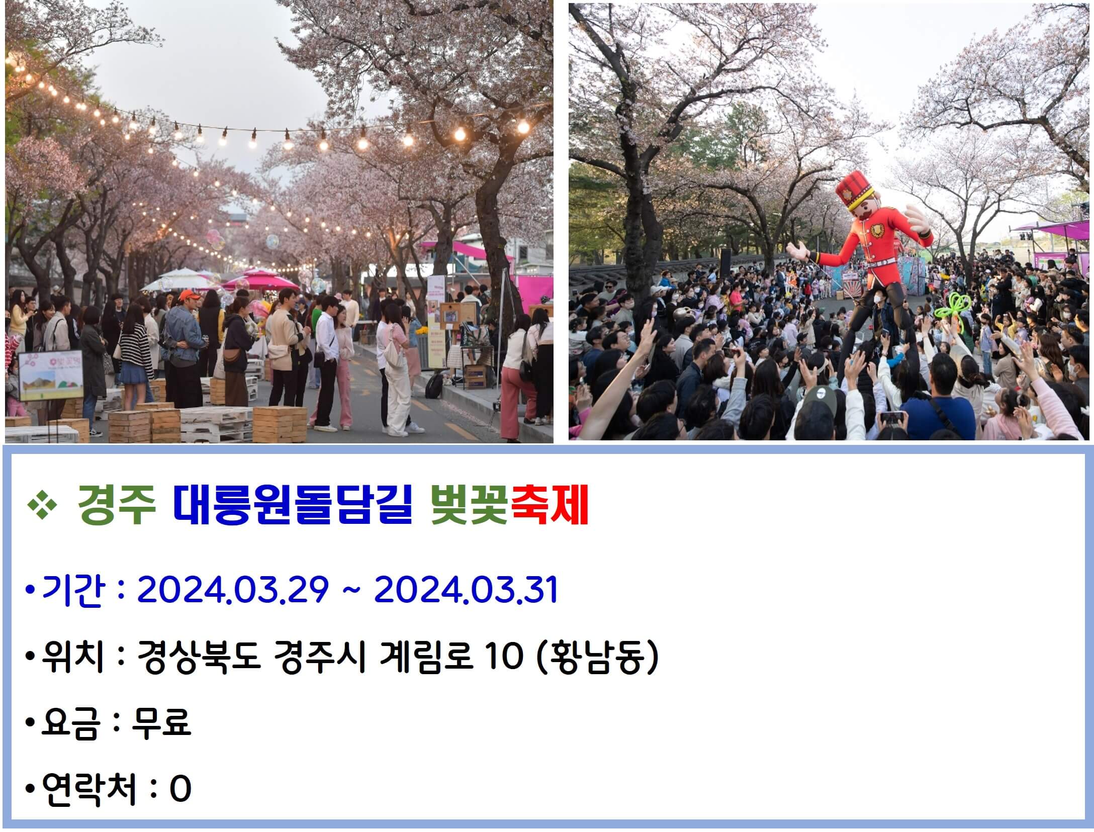 경주 대릉원돌담길 벚꽃축제