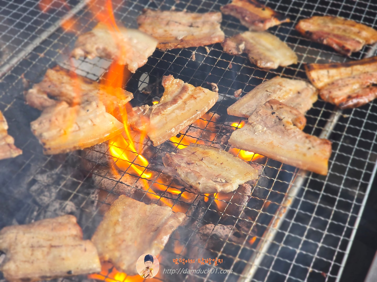 바베큐캠프닉868.3