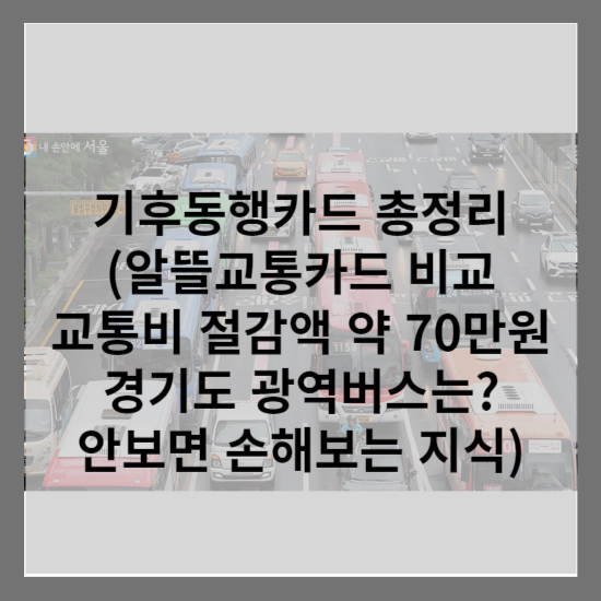 기후동행카드-정리
