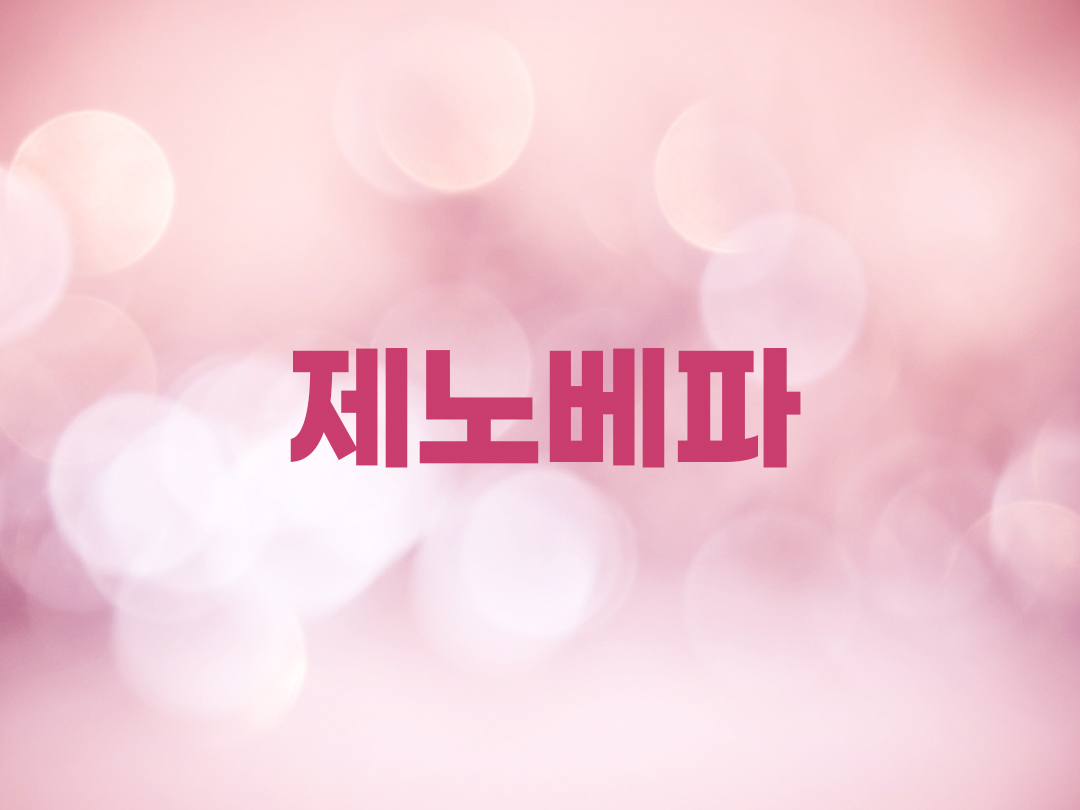 제노베파 천주교 여자세례명