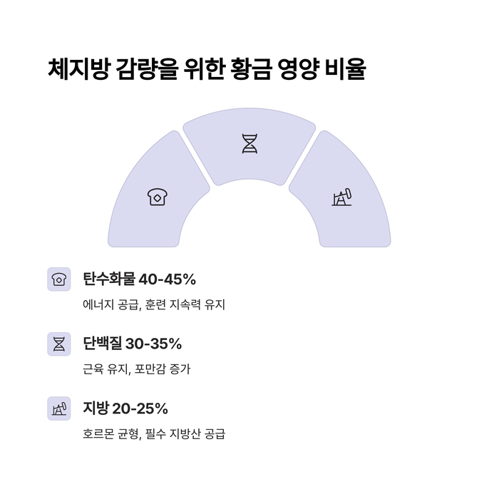 건강 의료