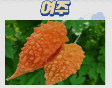 여주