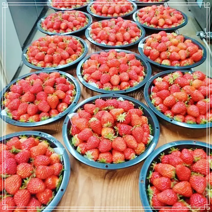 2TV 생생정보 부산 금정구 베이커리 카페 화과자, 초코만쥬 맛집