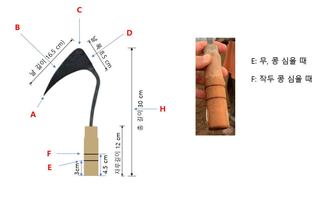 호미의 손잡이로 모종심는 깊이를 가늠할 수 있는 이미지이다.