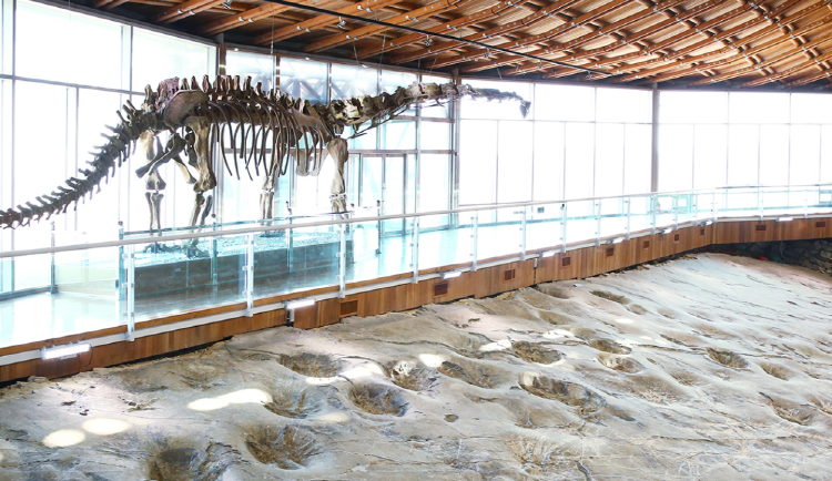 해남 공룡박물관