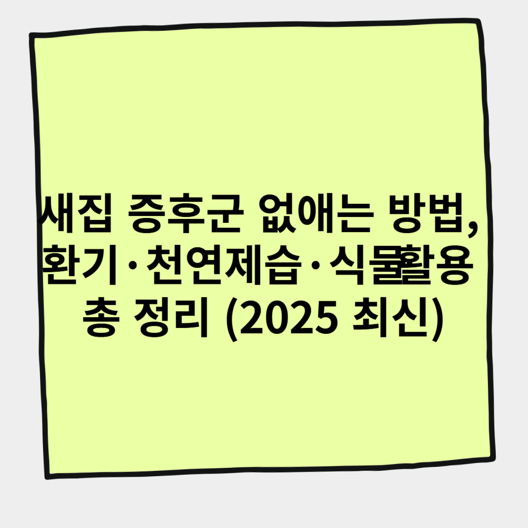 새집 증후군 없애는 방법, 환기&middot;천연제습&middot;식물 활용 총 정리 (2025 최신)