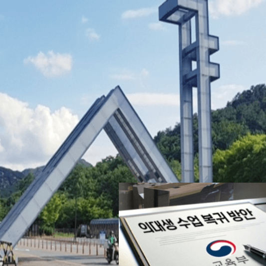 서울대-의대복학률