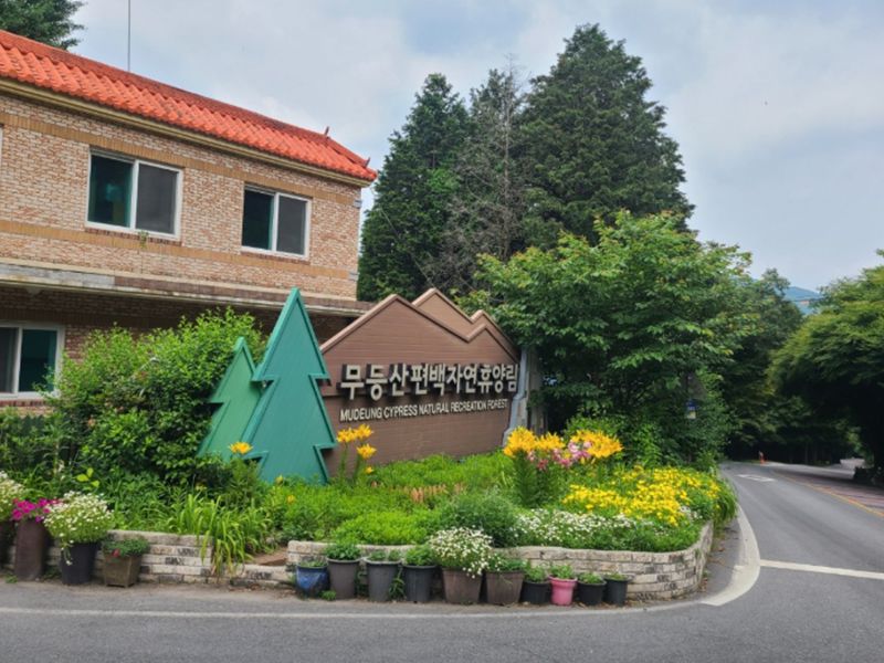 무등산 편백자연휴양림