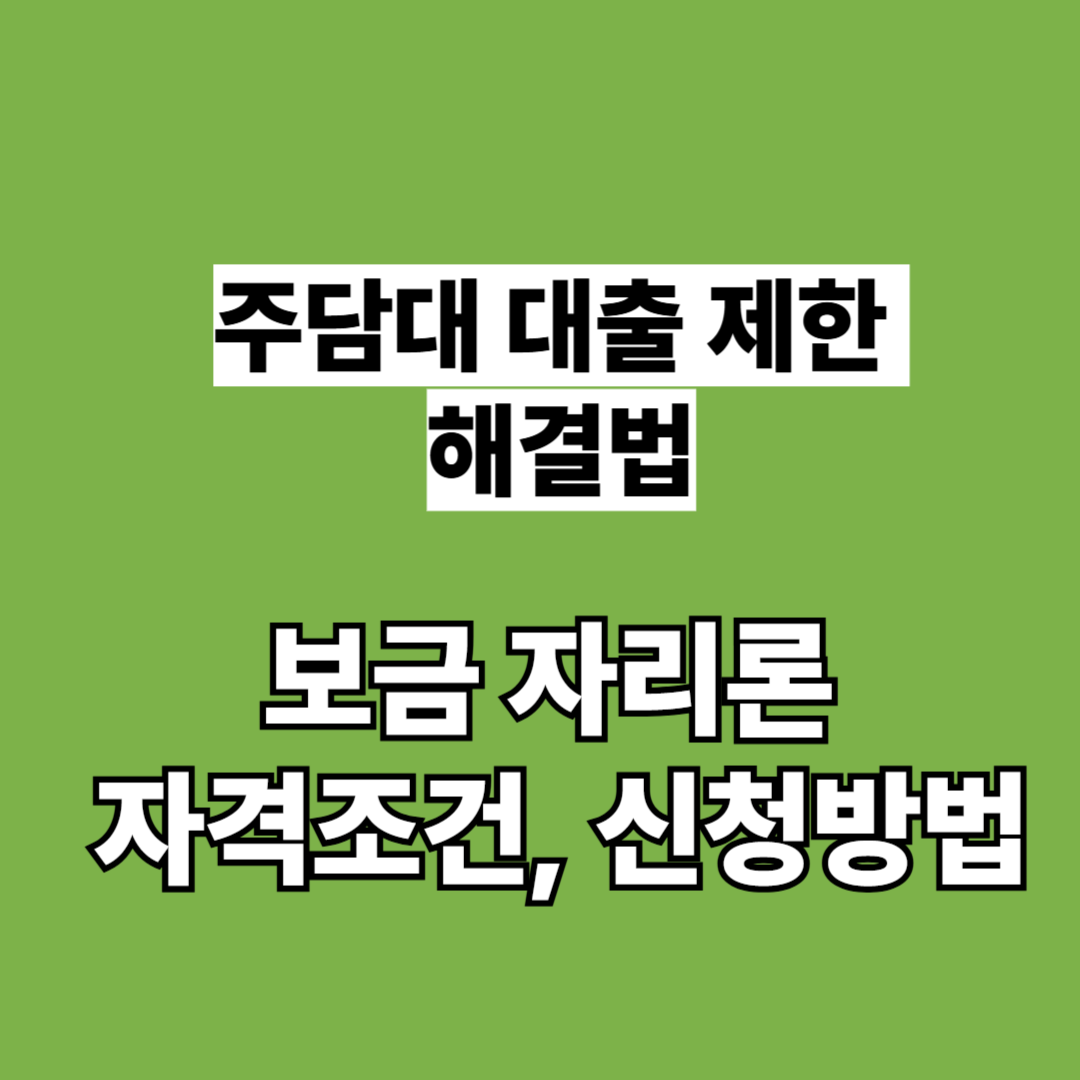 정부지원 - 보금자리론