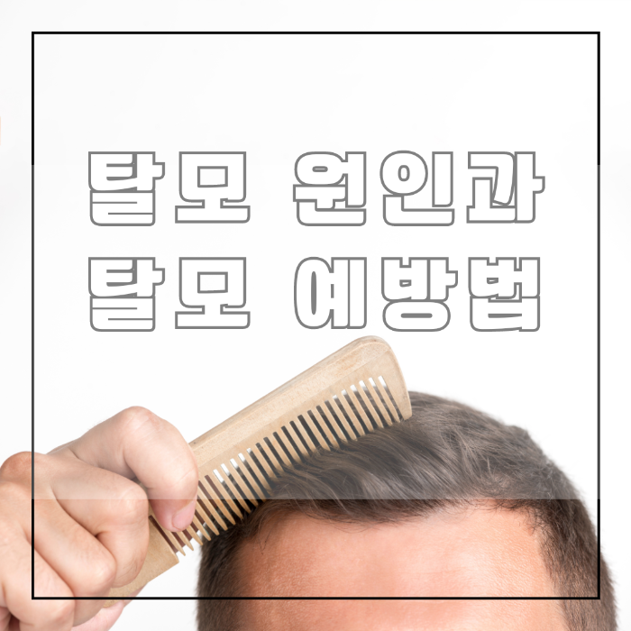 탈모의 원인 및 예방법