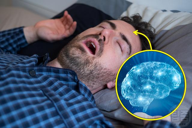 수면무호흡증 자가진단 피로