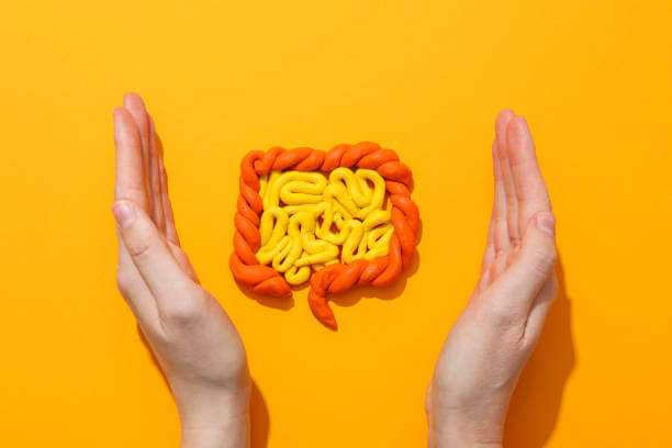 장 건강 영양제 Best 5! 장 건강에 진심인 당신을 위한 선택!