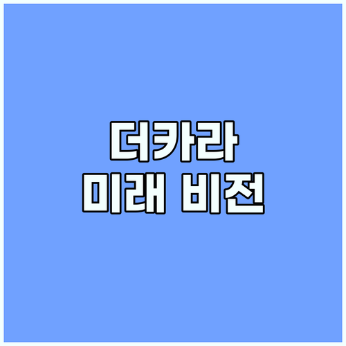 더카라 혁신 비전: 고객 중심 미래를..