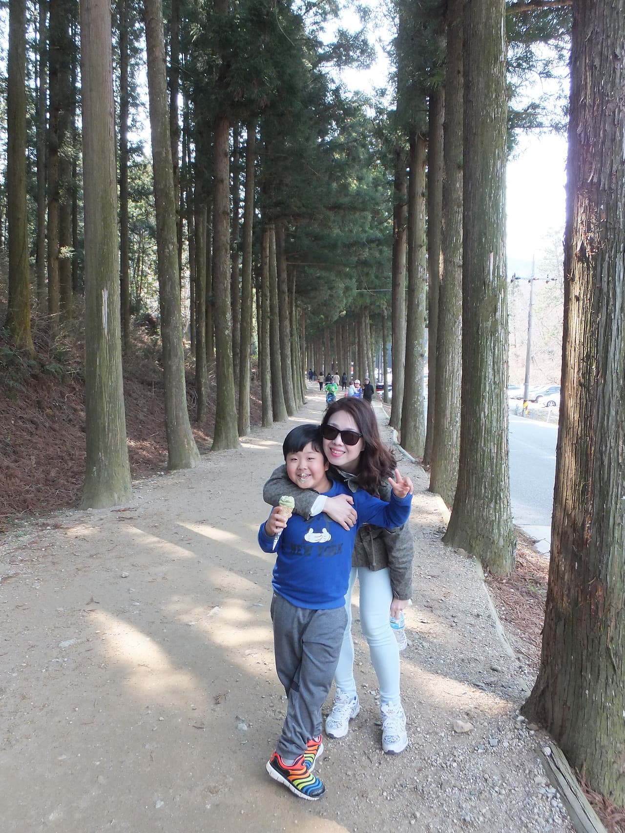 대한다원으로 오르는 숲길