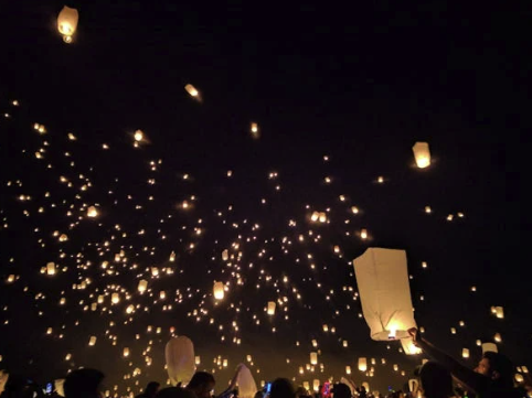 이태원참사 피해자 생활지원금 신청방법