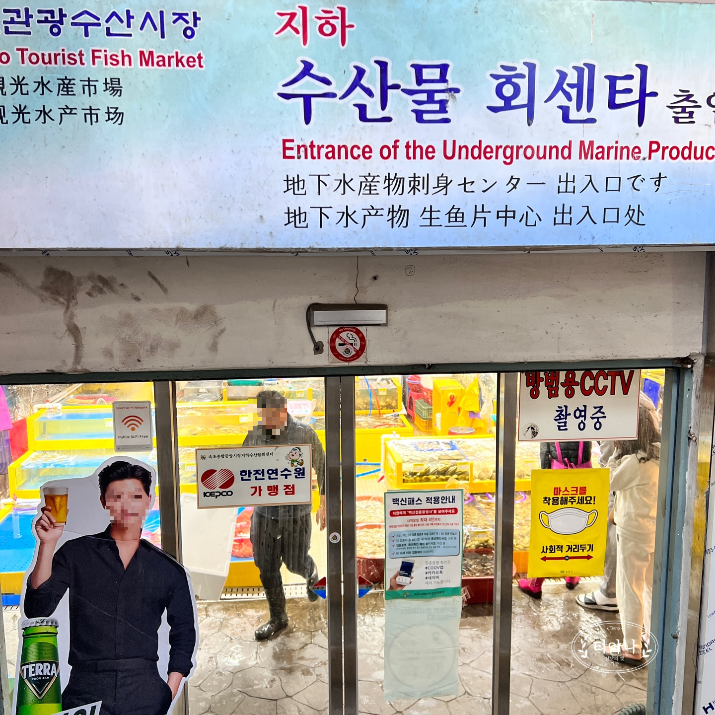속초 여행 중에 찾았던 &amp;#39;속초관광수산시장 (속초중앙시장)&amp;#39;