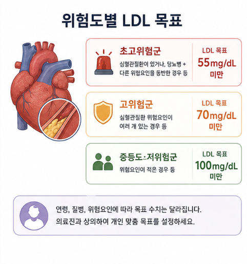 심혈관질환 위험도에 따라 LDL 목표가 초고위험군 55mg/dL 미만과 고위험군 70mg/dL 미만 등으로 달라짐을 설명한 이미지