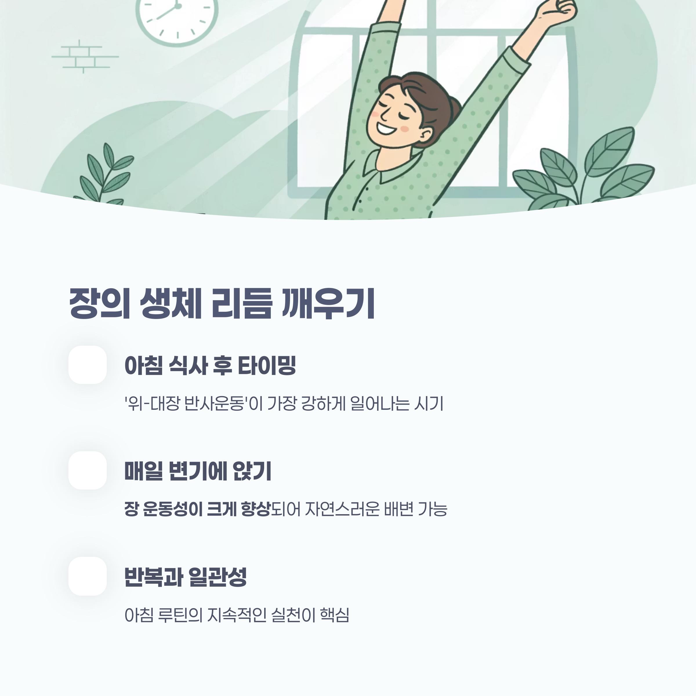 장의 생체 리듬을 깨우는 첫걸음: 아침 시간 활용