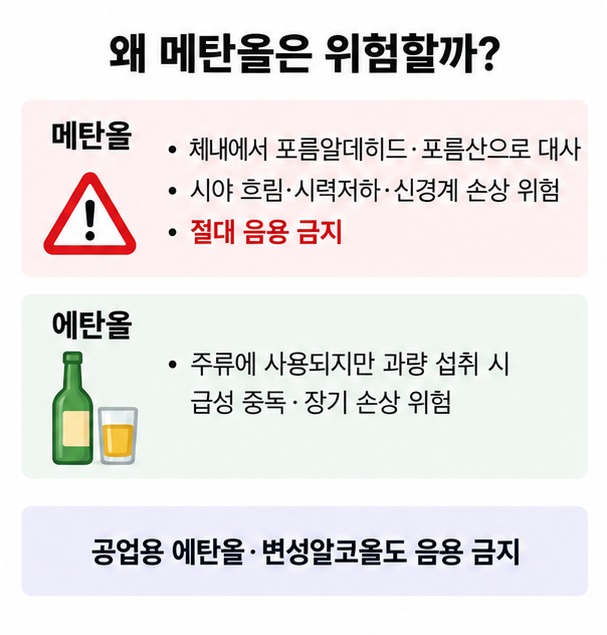 메탄올은 포름알데히드와 포름산으로 대사돼 시각과 신경계에 위험하고 에탄올도 과량 섭취 시 유해하다는 차이를 설명한 인포그래픽