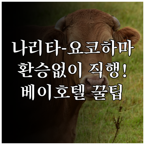 나리타 공항에서 요코하마 베이 호텔 ..
