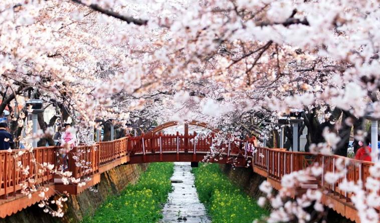 여좌천 로망스 다리