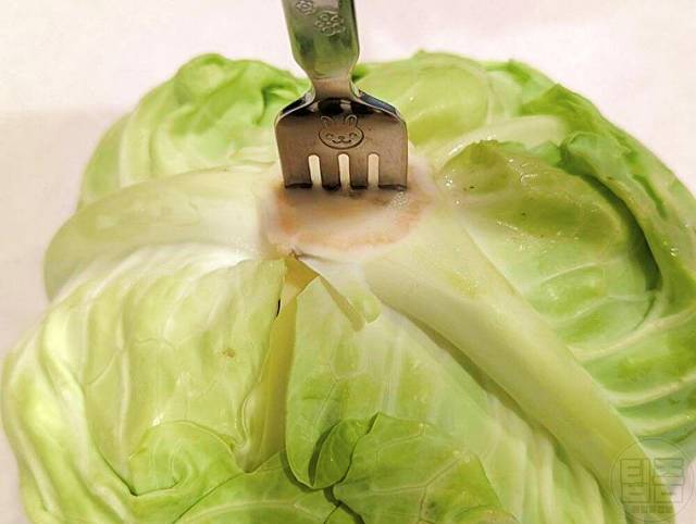 양배추 보관법 한달 양배추보관기간