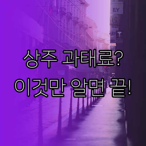 불법 주정차 과태료 방지하는 상주시 ..