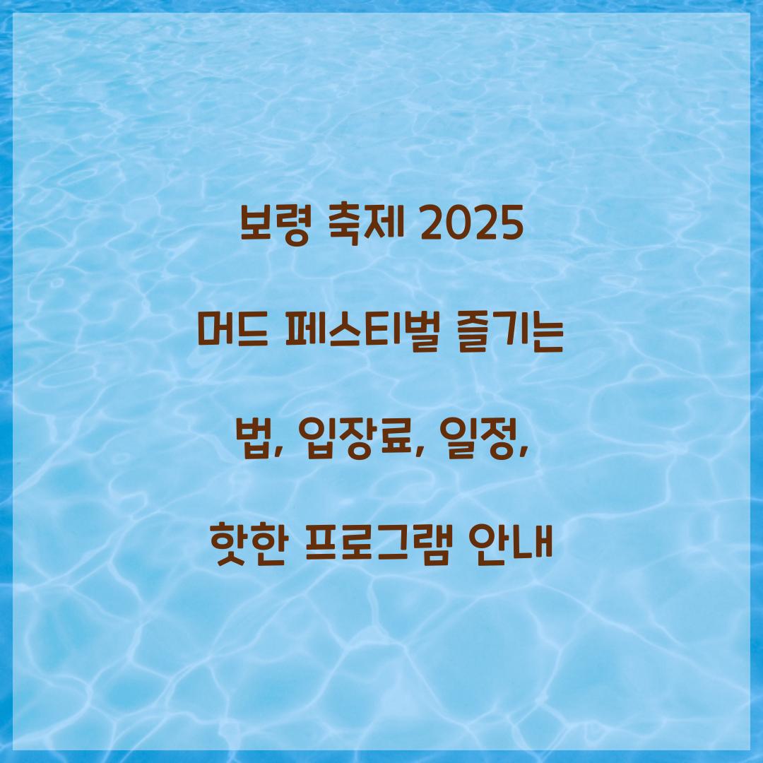 보령 축제 2025 머드 페스티벌