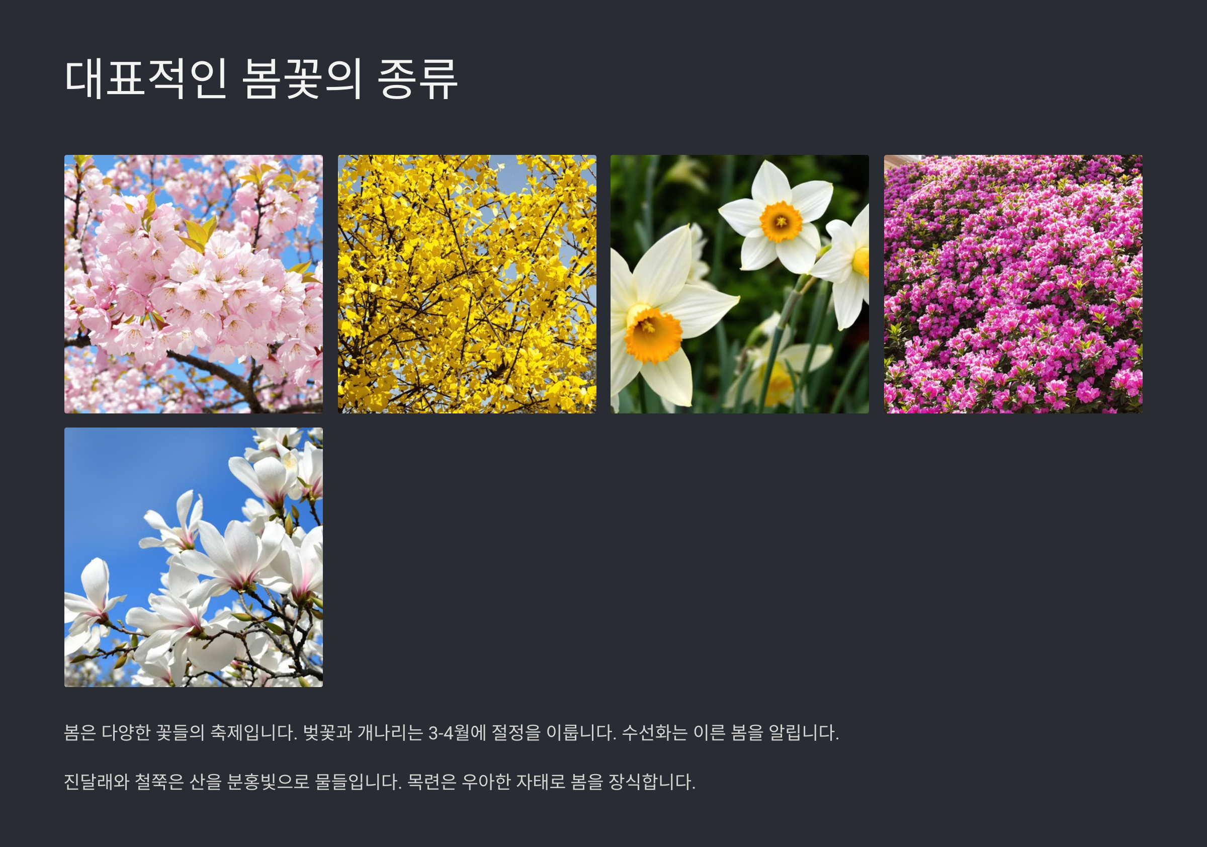 봄꽃 종류와 이름 그리고 그 의미