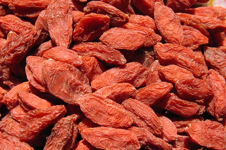 발효 구기자 효능 탈모