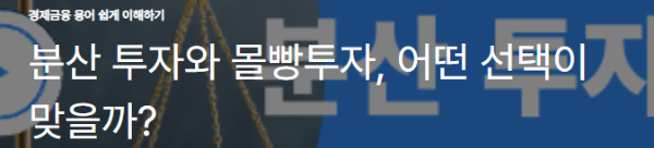 분산 투자와 몰빵투자, 어떤 선택이 맞을까?