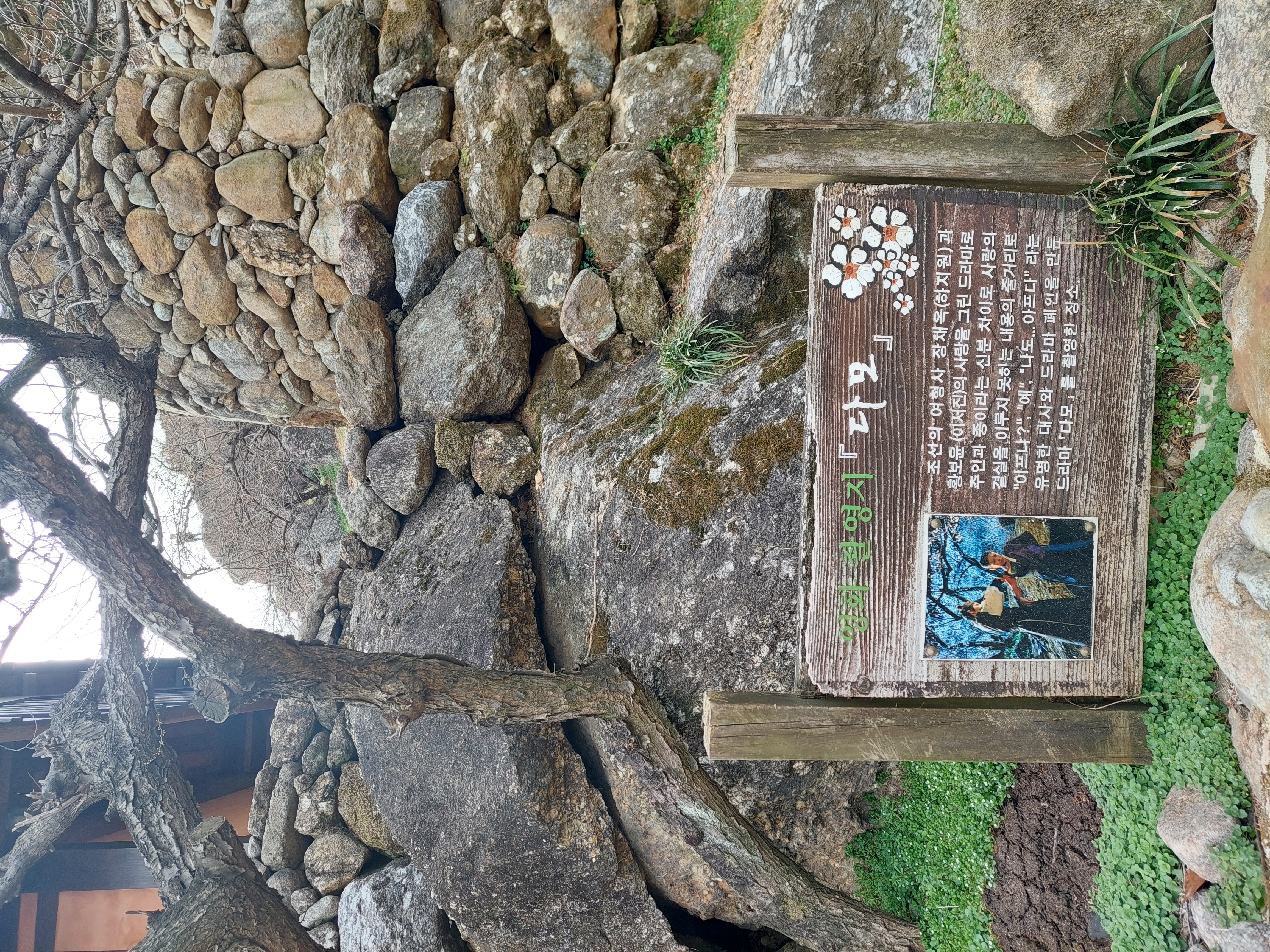 쫓비산