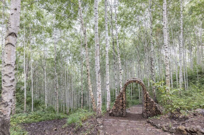 인제-풍경-자작나무-이미지