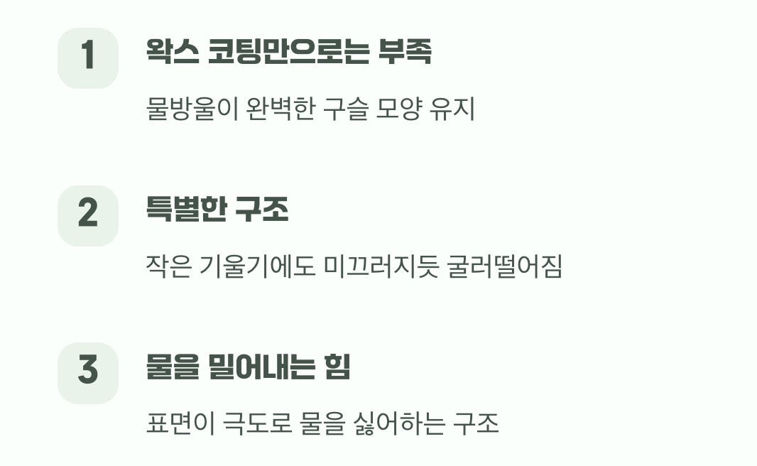 단순한 방수 코팅이 아니에요