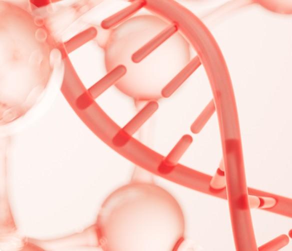 안티칼알파 효과