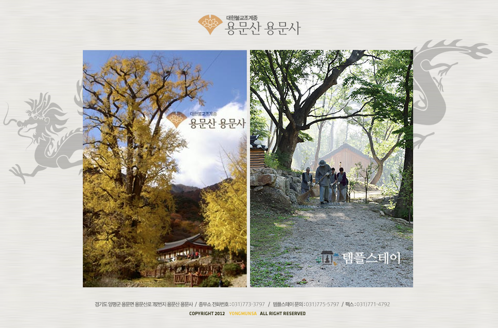 용문사 벚꽃길 벚꽃터널 천년 은행나무 개화 시기 양평 템플스테이 여행 주차 날씨 지하철