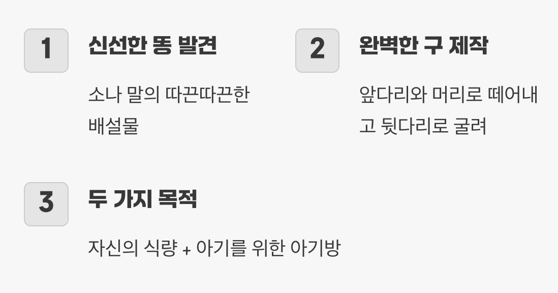 똥이 아니에요, '경단'이에요!