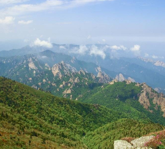 강원도 가볼만한곳 베스트10