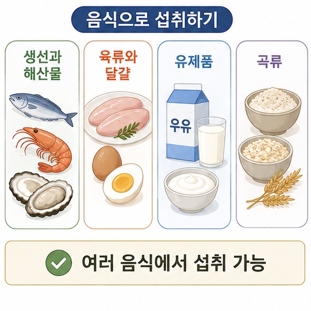 생선과 해산물, 육류, 달걀, 유제품, 곡류 등 셀레늄을 섭취할 수 있는 다양한 음식을 보여 주는 그림