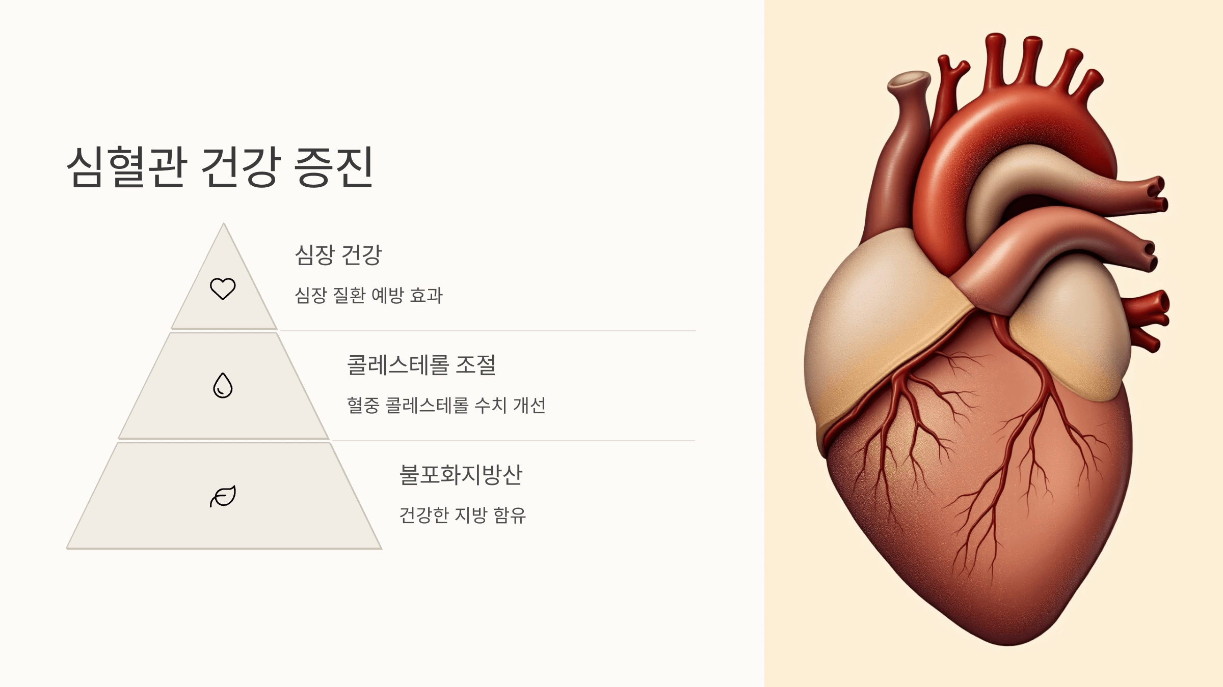 땅콩 사진입니다.