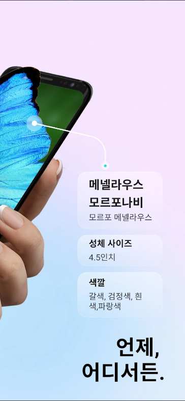 사진으로 곤충 식별, Picture Insect, 곤충 이름 찾기 어플