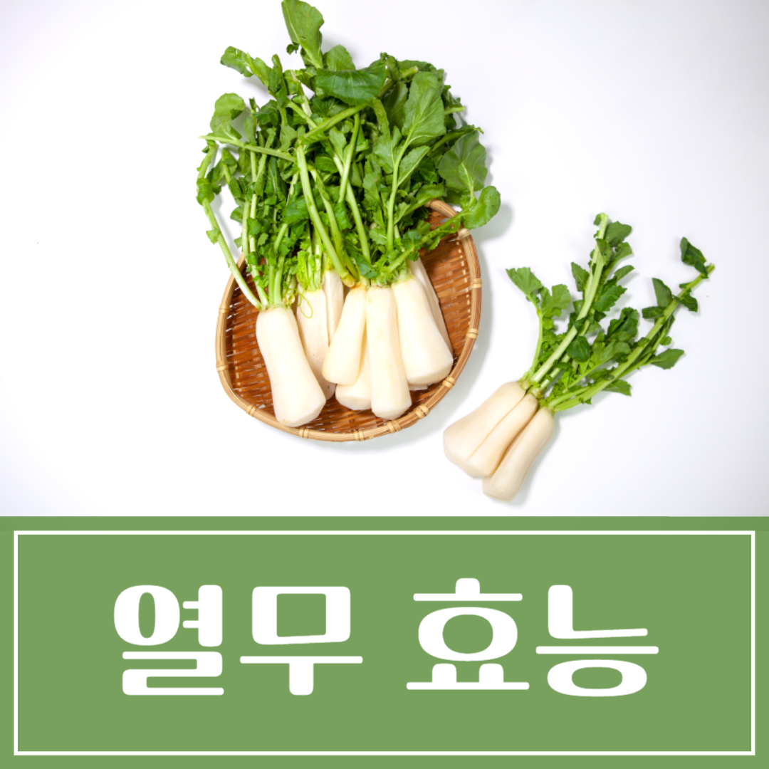 열무 효능 부작용