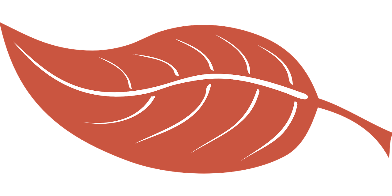 가을 가족 여행지 추천 best 5곳 (서울)