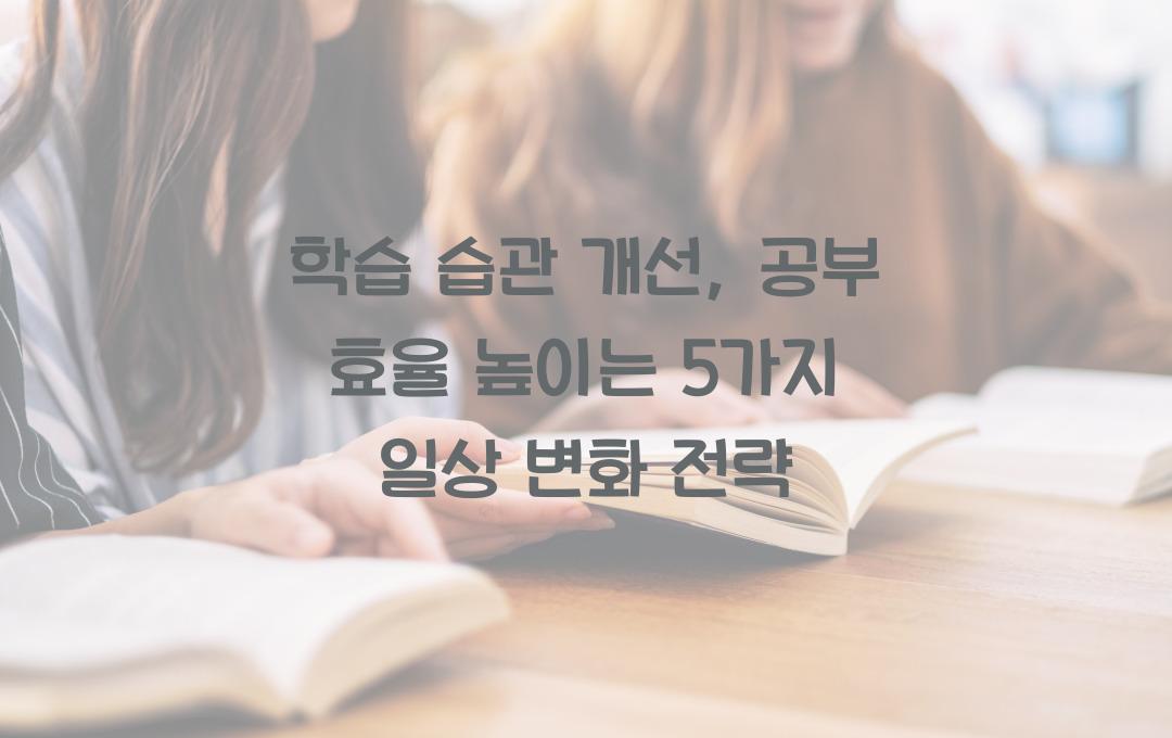 학습 습관 개선: 공부 효율을 높이는 일상 변화 전략