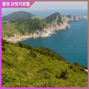 통영 연화도 수국 꽃길 산책 코스와 최적 관람 시기_50