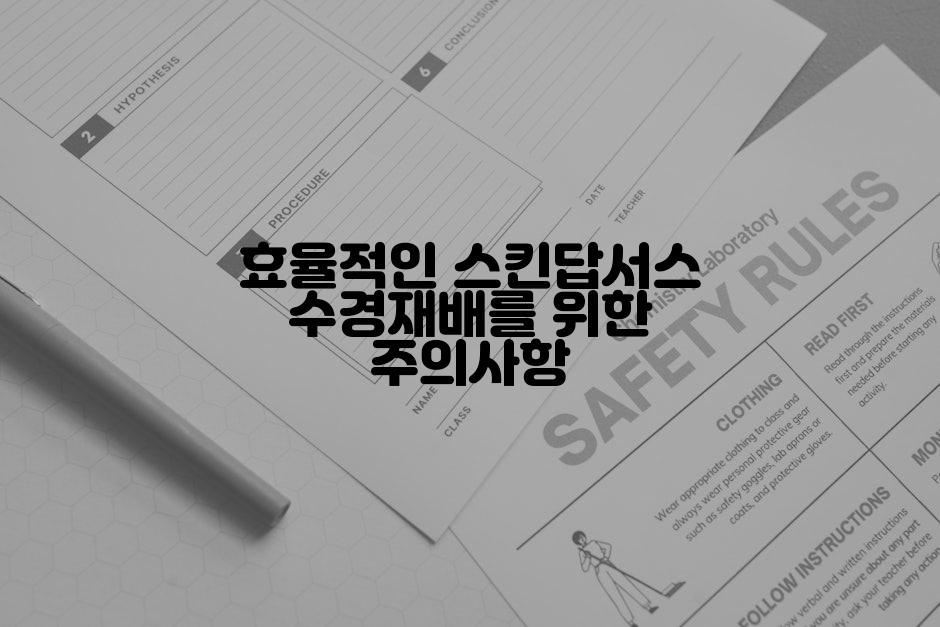 효율적인 스킨답서스 수경재배를 위한 주의사항