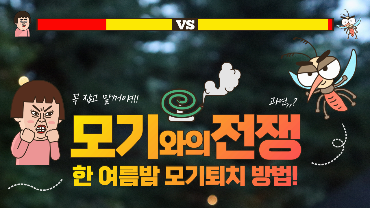 모기제거방법7가지