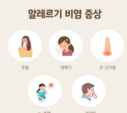 알레르기 비염과 만성비염 관련 사진