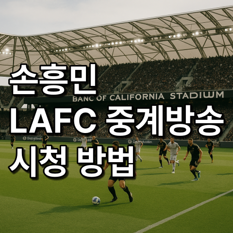 뱅크 오브 캘리포니아 스타디움